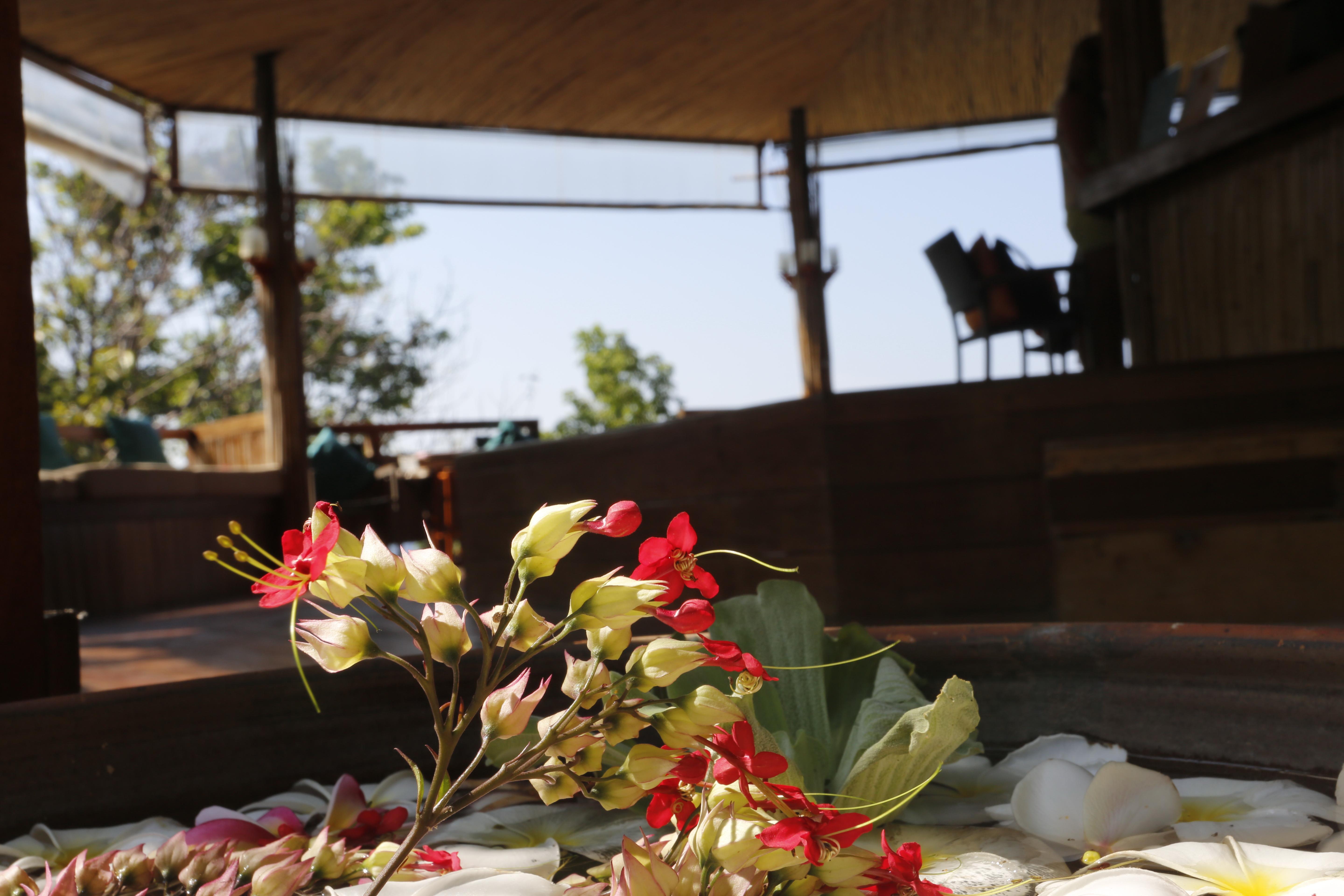 Koh Tao Hillside Resort Extérieur photo